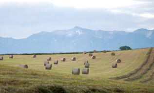 四季彩の丘FARM