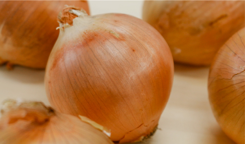 Onion