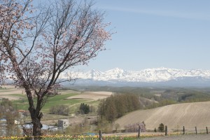 _DSC9446