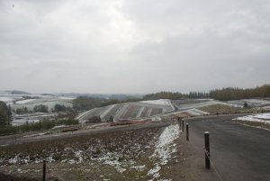 初雪