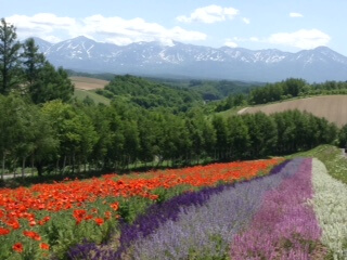 四季彩の丘　近況