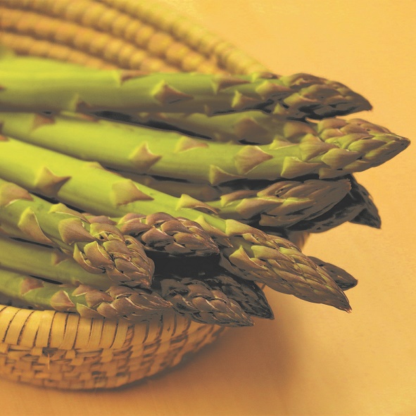 shikisainooka_asparagus_9421