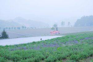 _dsc6766